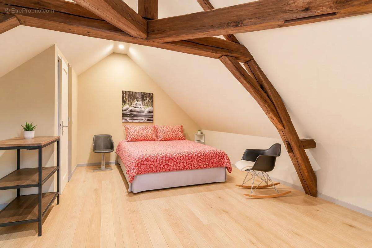 Maison et Studios à Rendement élevé à Mosnes - photo 8