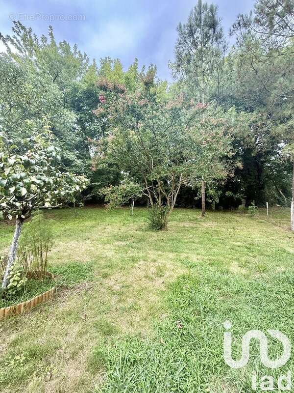 Photo 9 - Terrain à SAINT-GEOURS-DE-MAREMNE