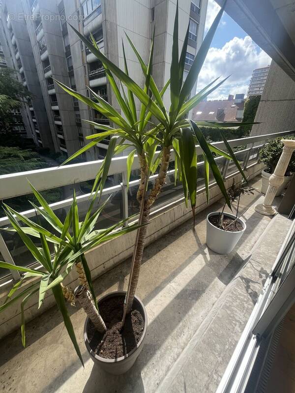 Photo 1 - Appartement à PARIS-19E