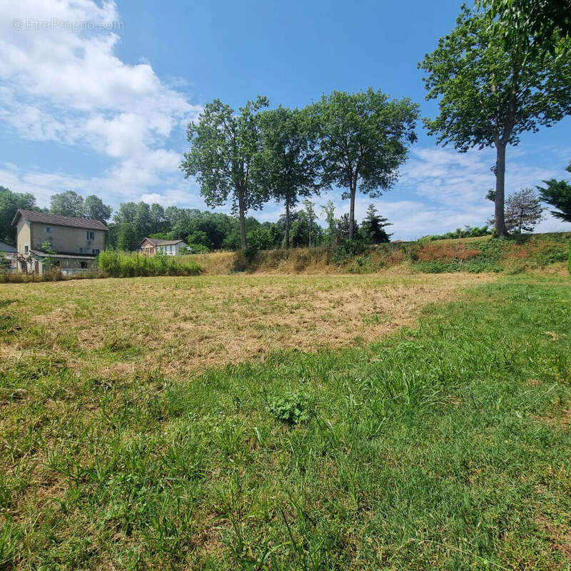Terrain à SAINT-SEVER
