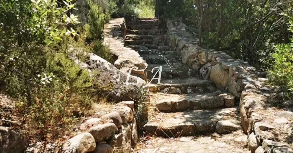 Maison à SARI-SOLENZARA