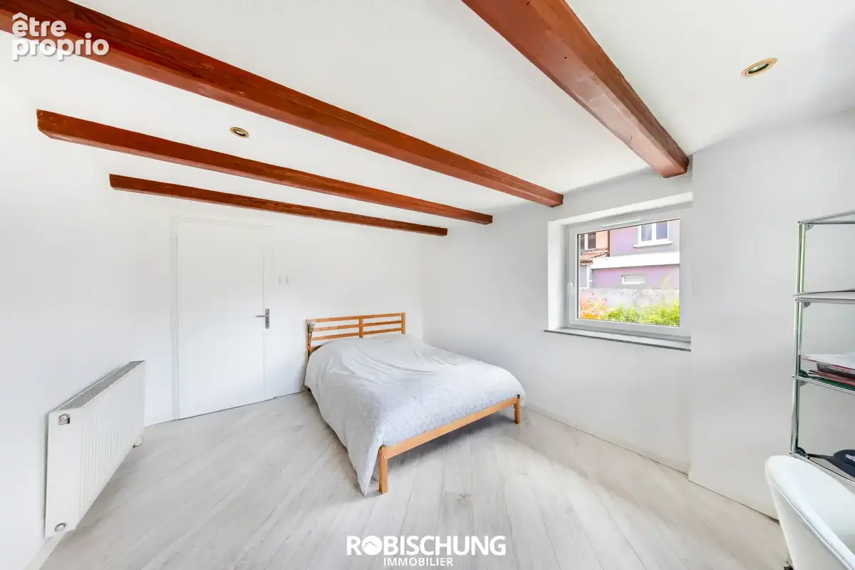 Secteur DANNEMARIE à TRAUBACH LE BAS : Ensemble immobilier plein de potentiel ! - photo 4