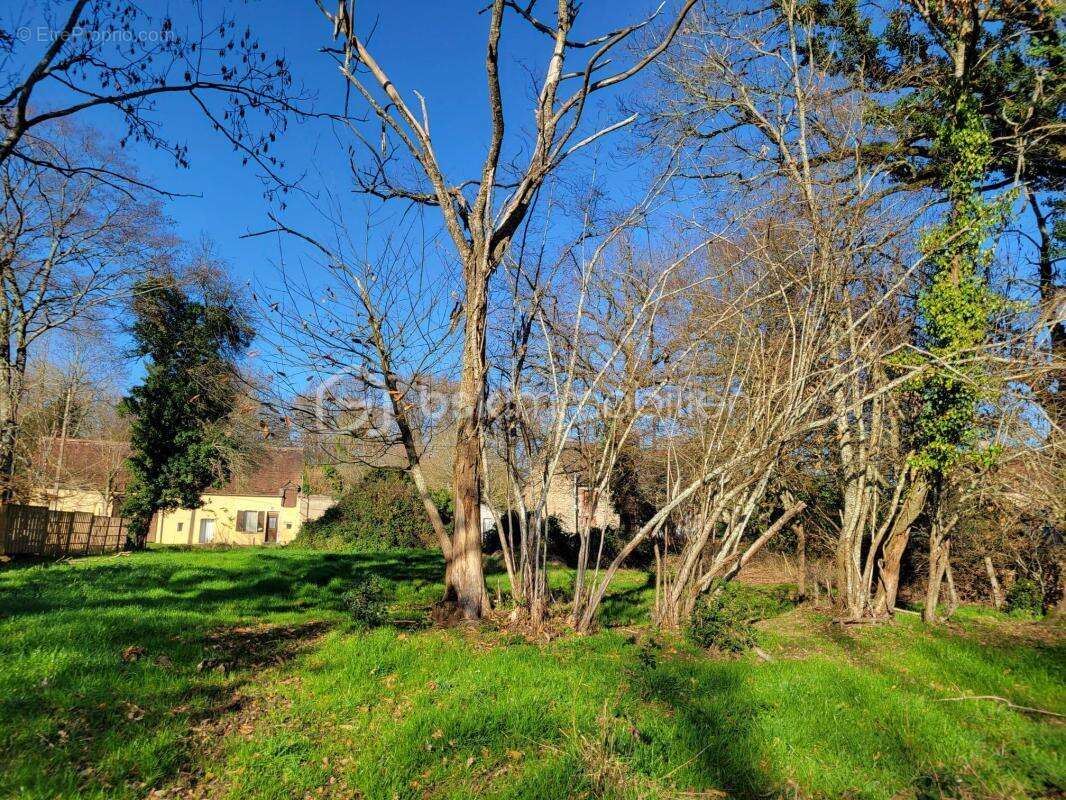 Terrain à LA CELLETTE