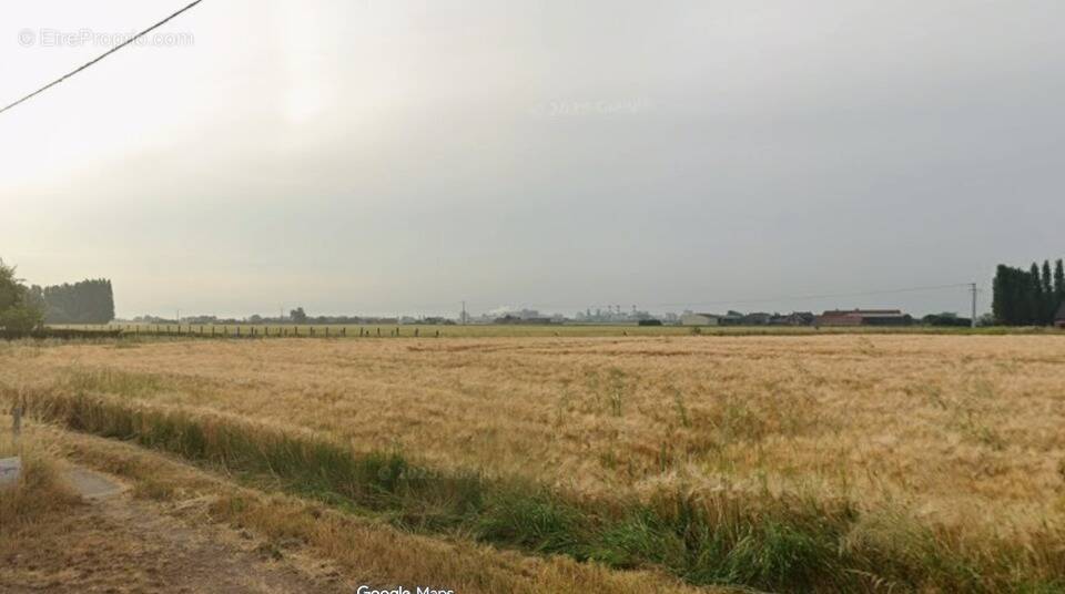 Terrain à MERVILLE