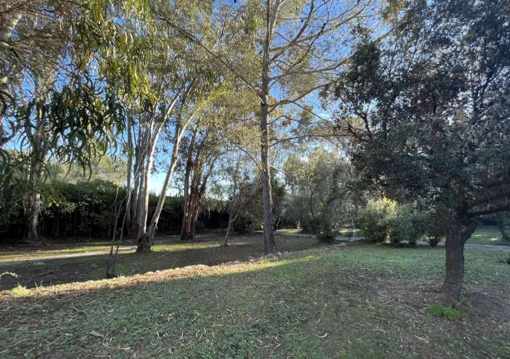 Terrain à MOUGINS