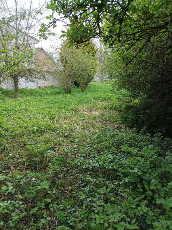 Terrain à MOY-DE-L&#039;AISNE