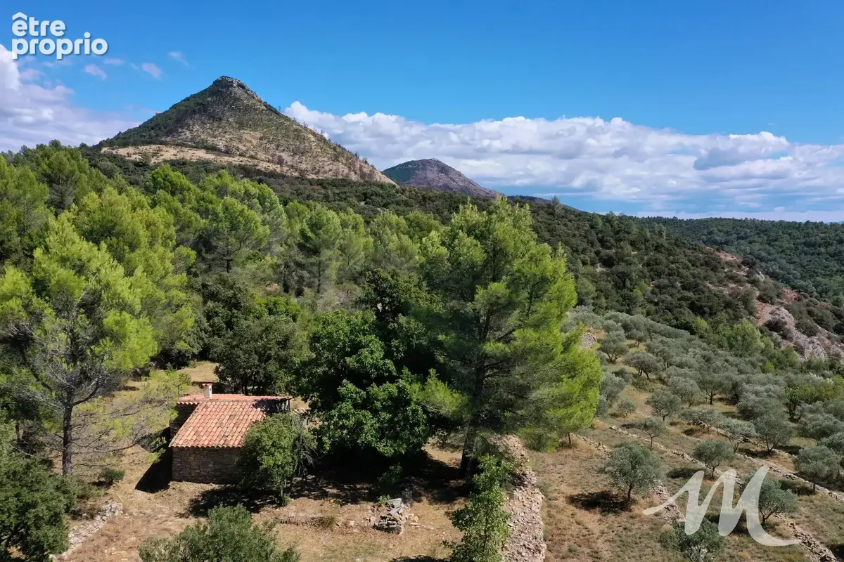 cabanon en pierres de 24 m² à Pontevès - photo 9