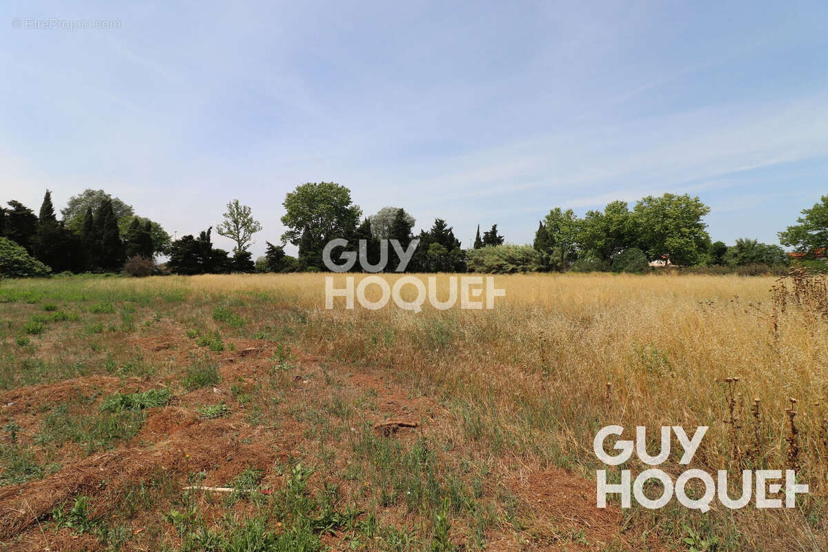 Terrain à SAINTE-MARIE