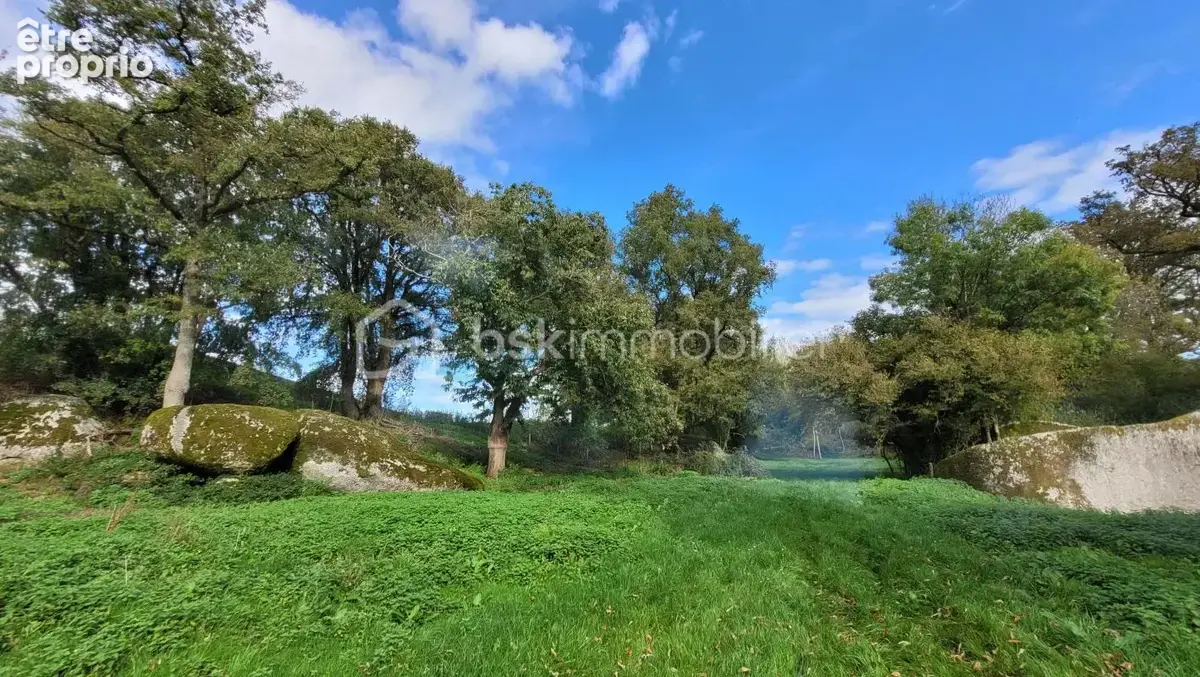 Maison avec exploitation agricole 150m2, 9 pièces - photo 19