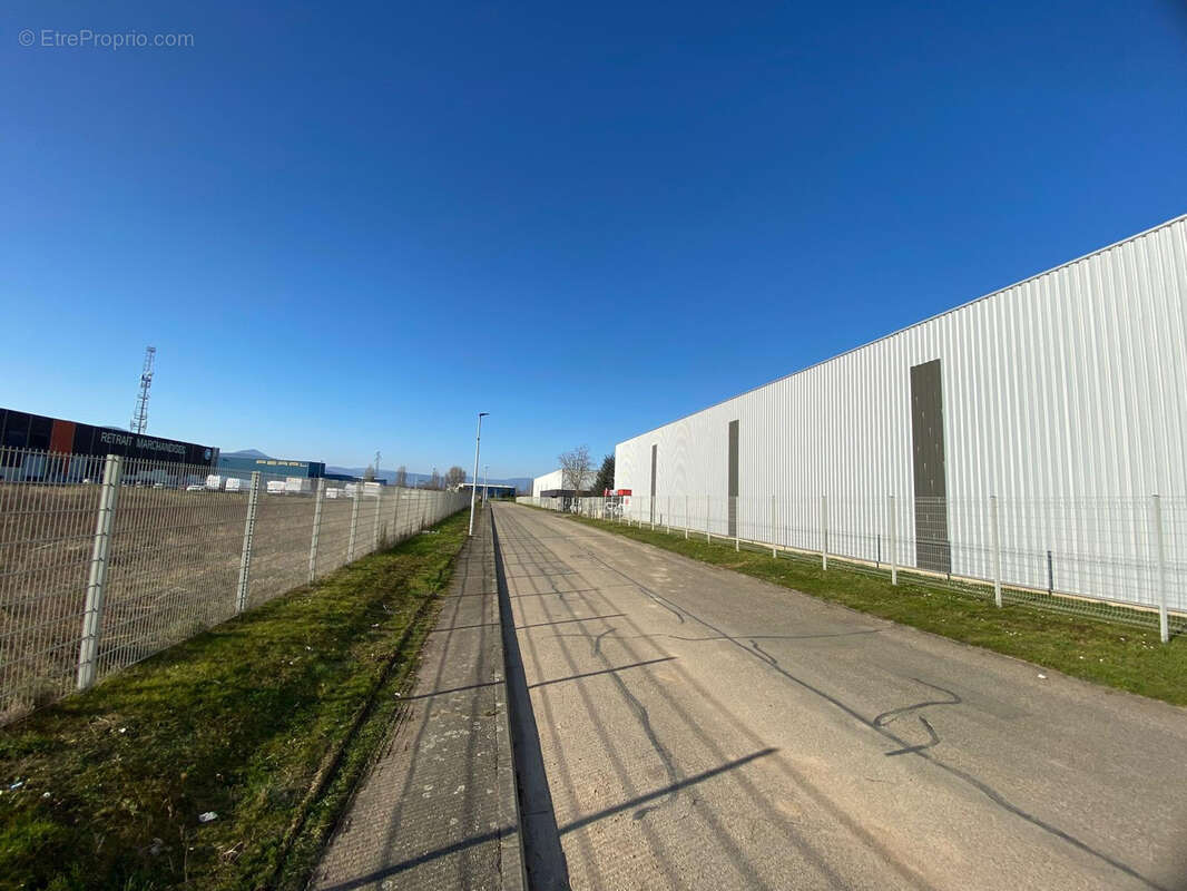 Commerce à SELESTAT