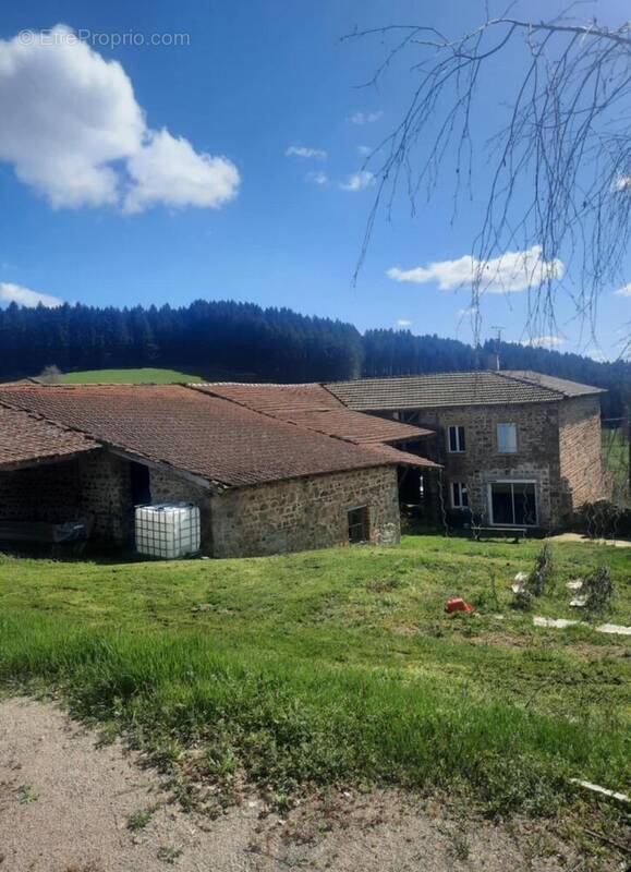 Photo 1 - Maison à CUBLIZE