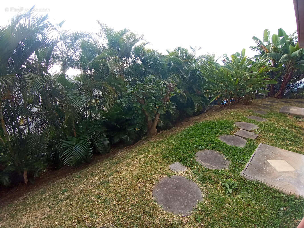 Maison à LA POSSESSION