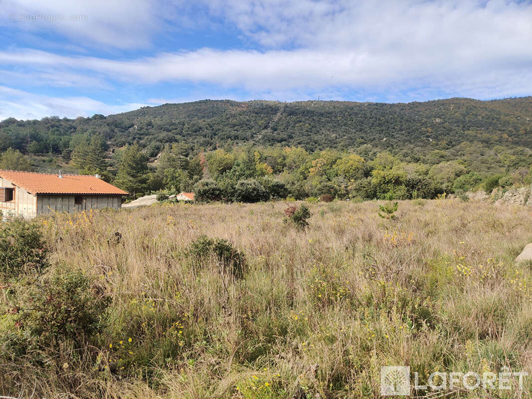 Terrain à ARBOUSSOLS