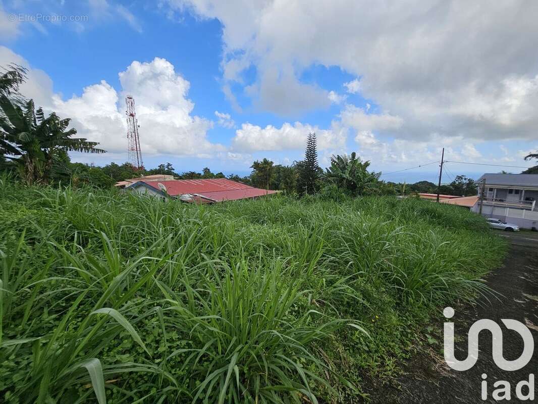 Photo 2 - Terrain à L'AJOUPA-BOUILLON