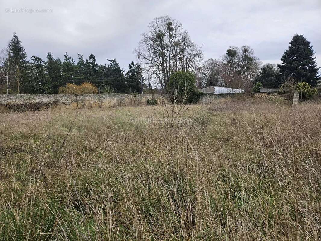 Vente Terrain Fleury-sur-orne(14123) 220 500ï¿œ - photo 3