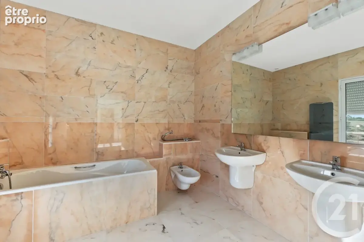 Maison 8 pièces 383 m² à vendre à L'isle-En-Dodon (31230) - photo 19
