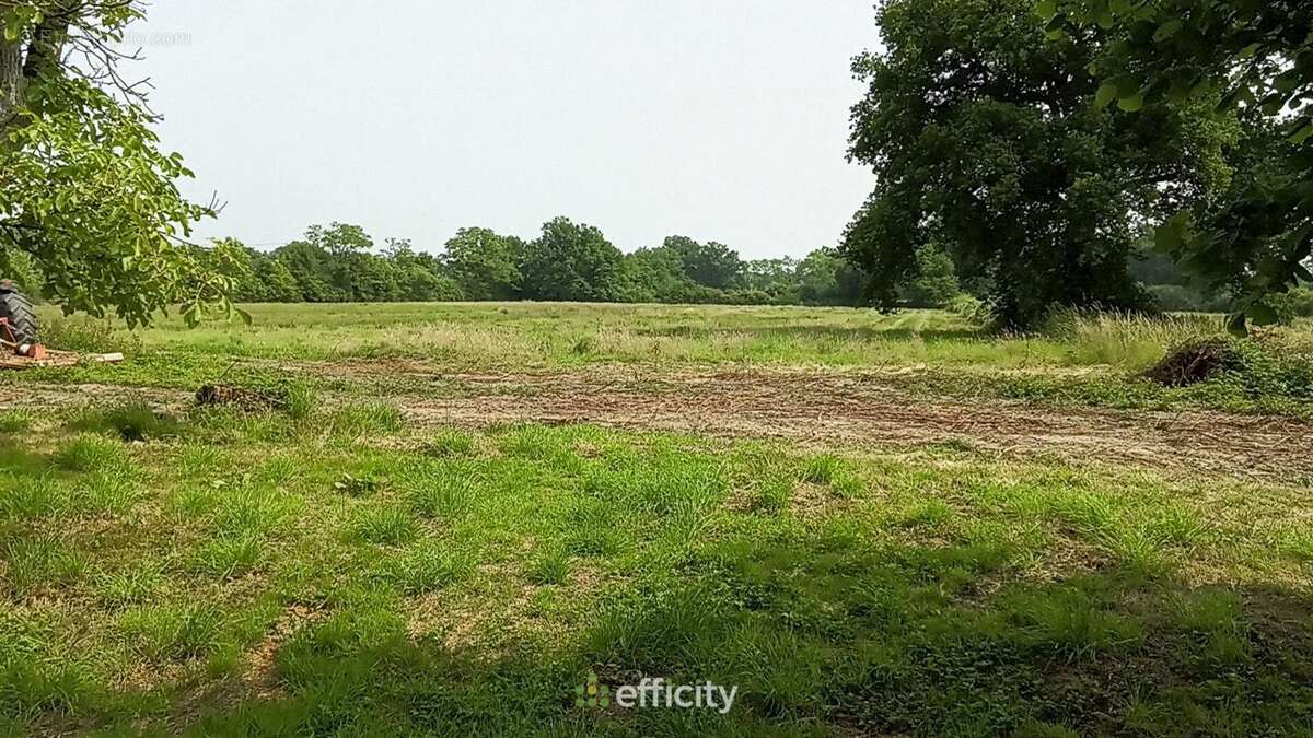 Maison à VITRY-EN-CHAROLLAIS