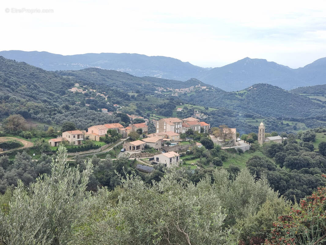 Appartement à SANTA-MARIA-FIGANIELLA