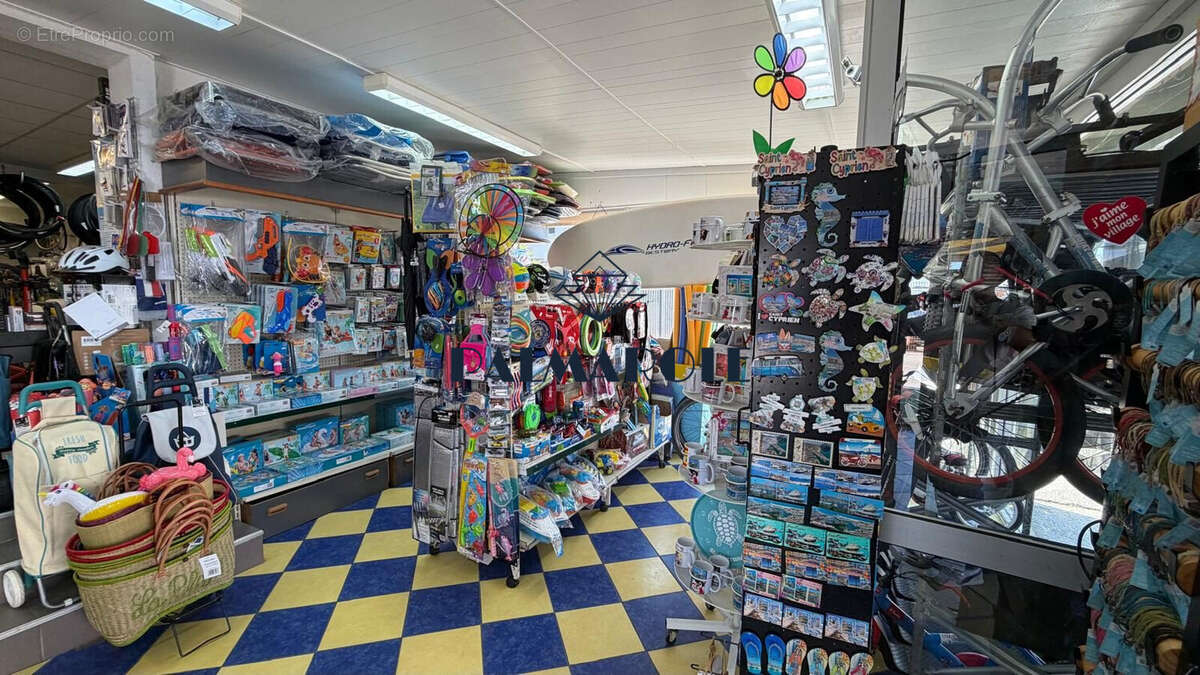 Commerce à SAINT-CYPRIEN