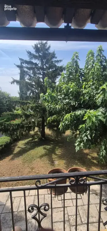 Maison de caractère 6 pièces – 4 chambres – piscine 10×5 sur 1 800 m² arborés et clos - photo 6