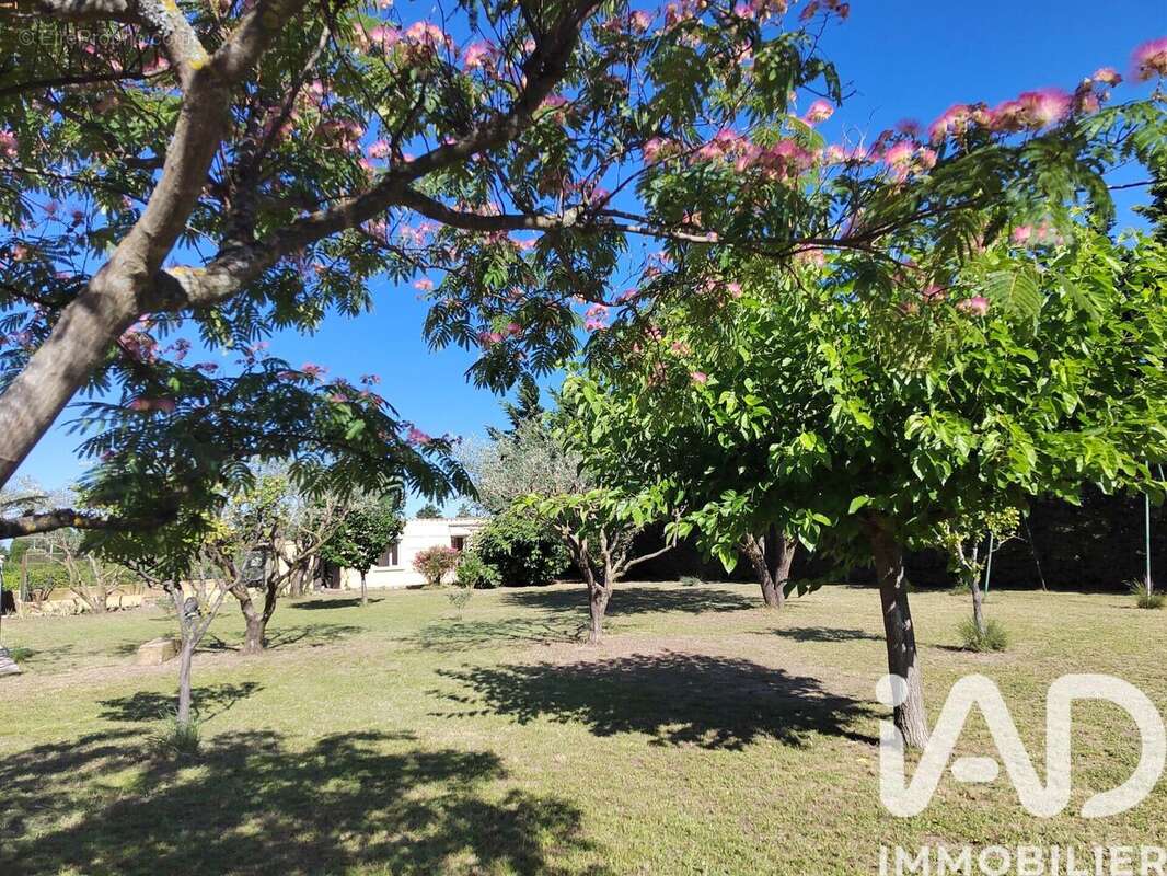 Photo 3 - Maison à CAMARET-SUR-AIGUES