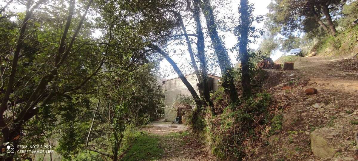 Maison à SAINT-ROMAN-DE-CODIERES