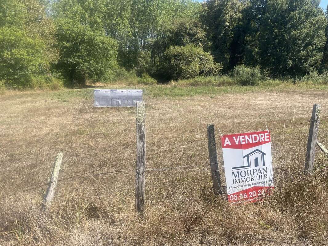 Saint-Selve terrain 700m² - photo 2