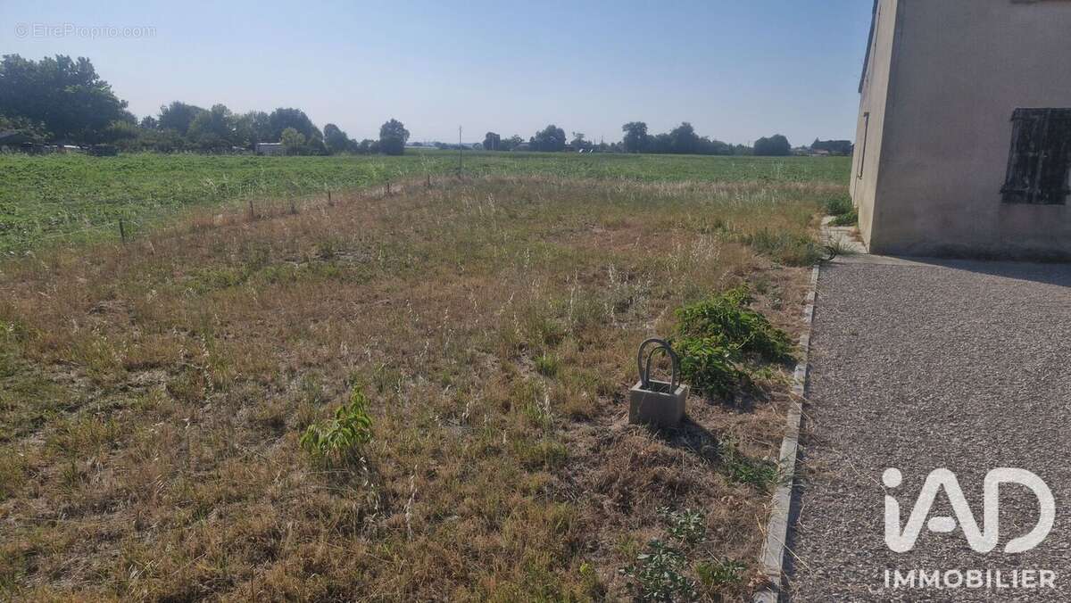 Maison 240 m² à Castelsarrasin  - photo 4