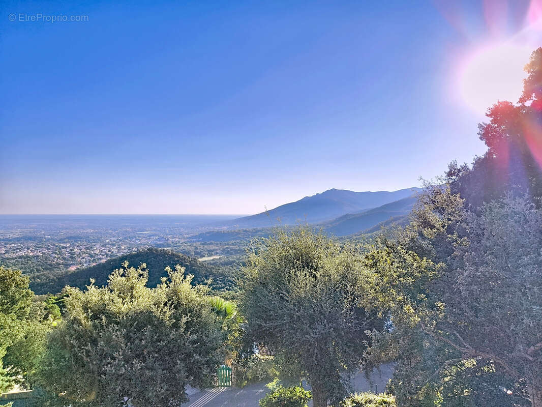 Maison à LAROQUE-DES-ALBERES