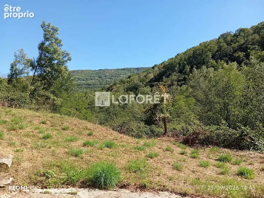 Ancien camping / 2,15 ha - prats de mollo - photo 12