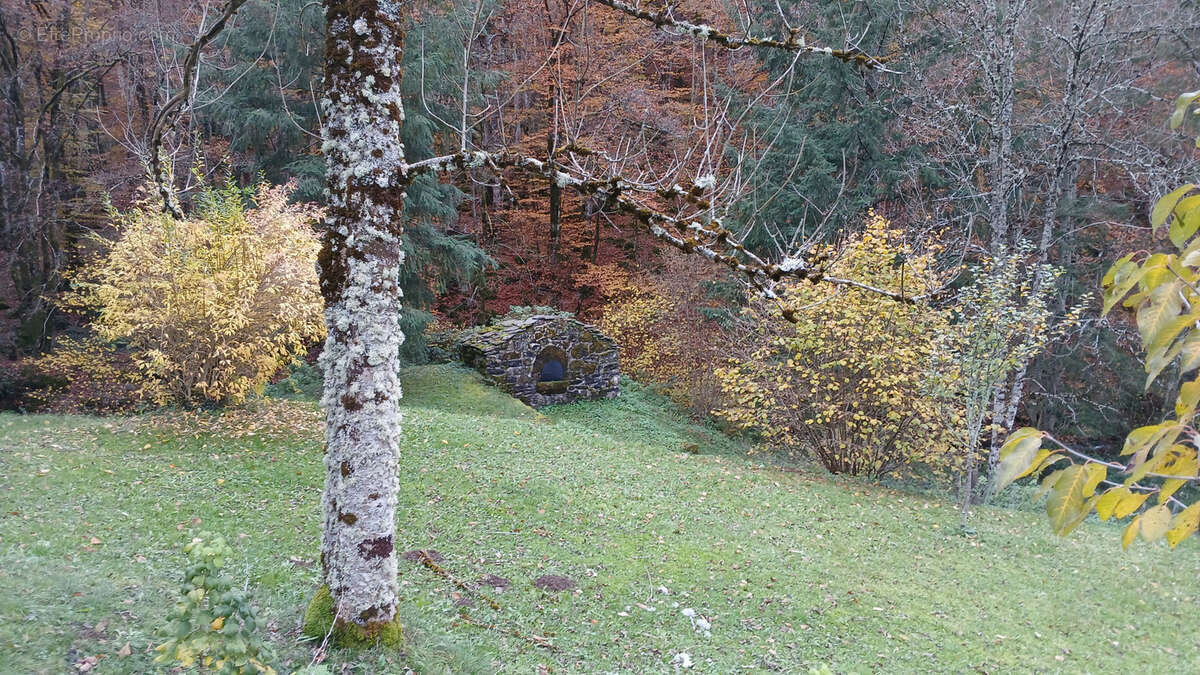 Maison à MOUSSAGES