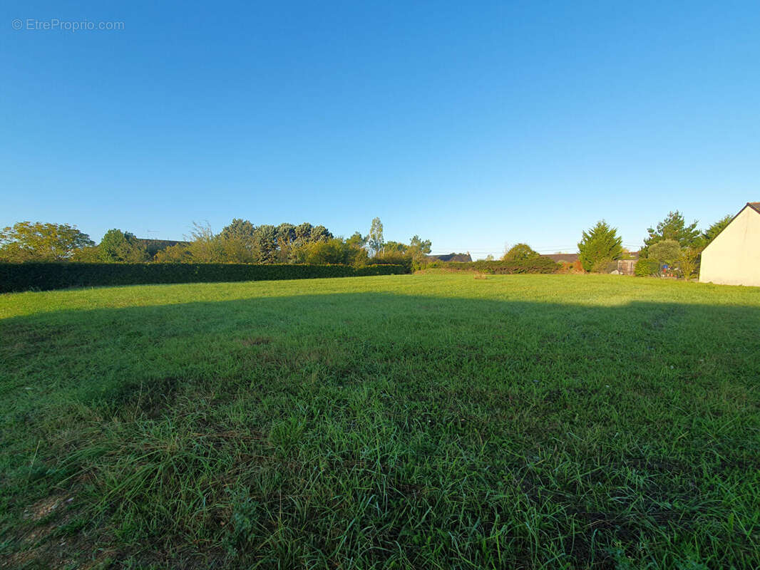 Terrain à CHAVAGNES