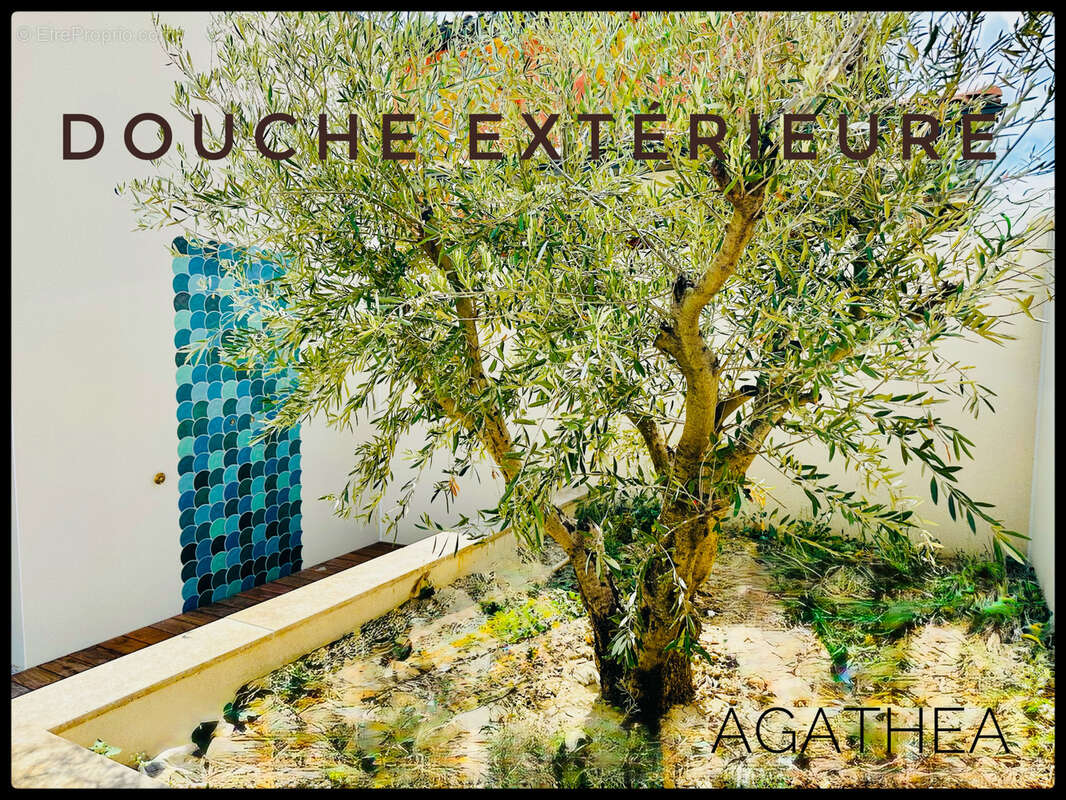 Maison à NEZIGNAN-L&#039;EVEQUE