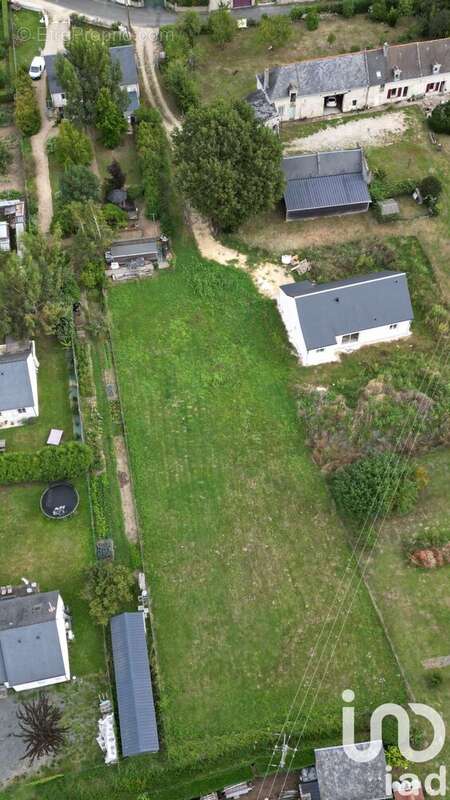 Photo 4 - Terrain à SAVIGNY-EN-VERON