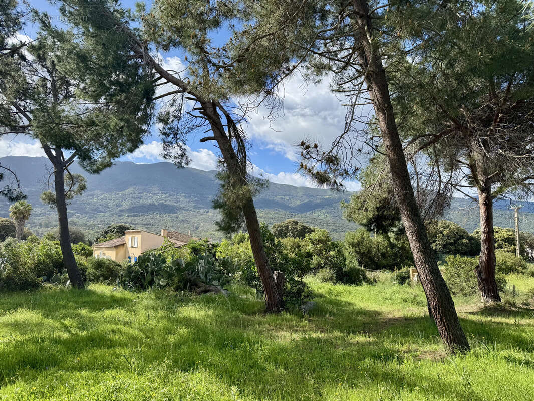 Terrain à CALCATOGGIO