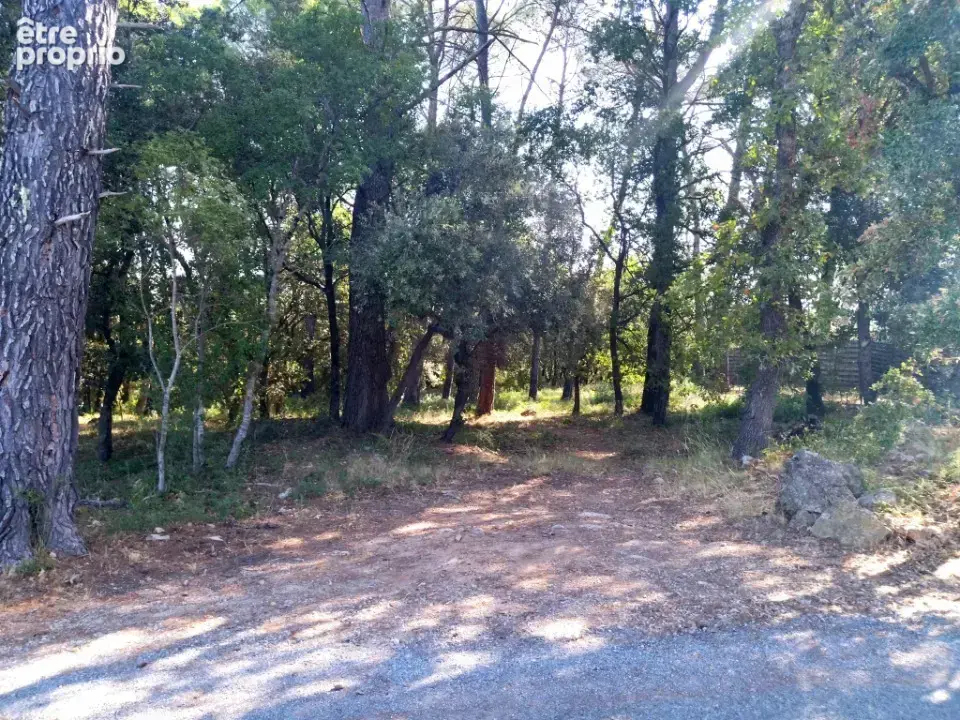 Terrain 732 m² à vendre à Le Thoronet (83340) - photo 2