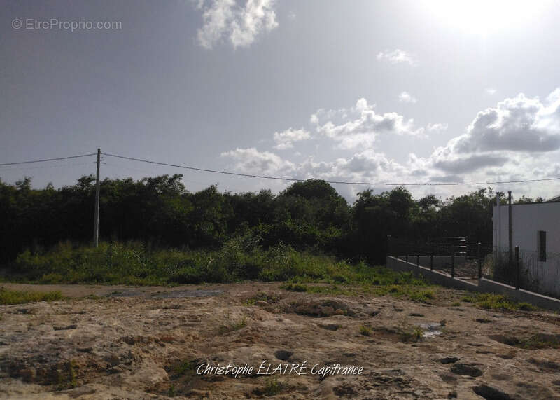 Terrain à SAINT-FRANCOIS