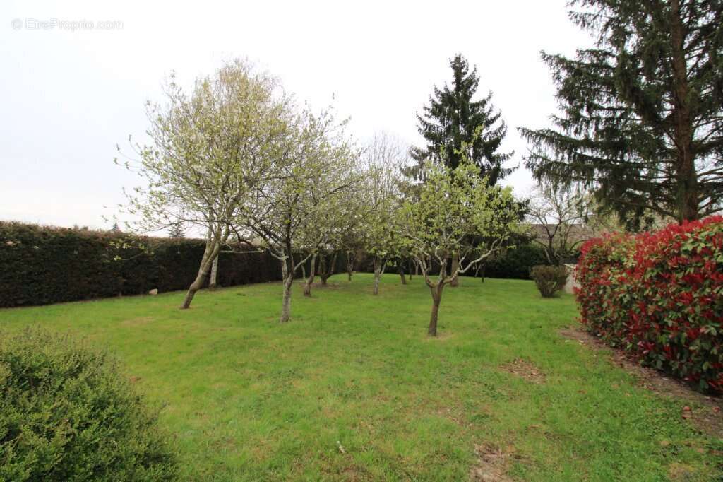 Maison à CHALON-SUR-SAONE