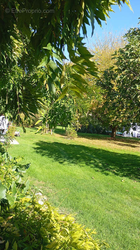 Maison à CASTILLONNES