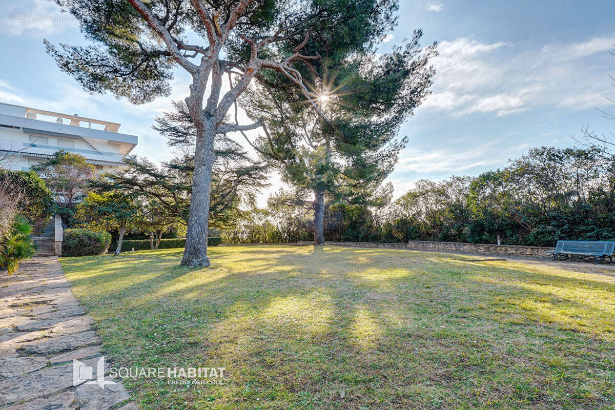 Photo 4 - Appartement à MARSEILLE-8E