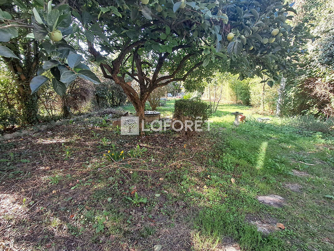 Maison à VILLEMUR-SUR-TARN