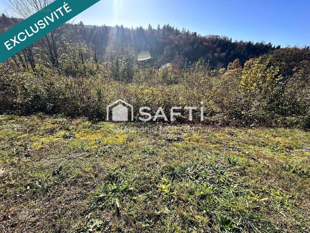 Photo 3 - Terrain à COURTEFONTAINE