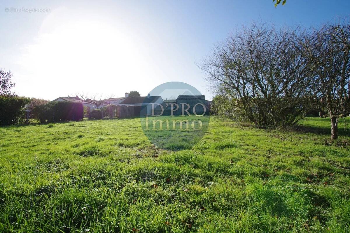 Terrain à LA HAIE-FOUASSIERE