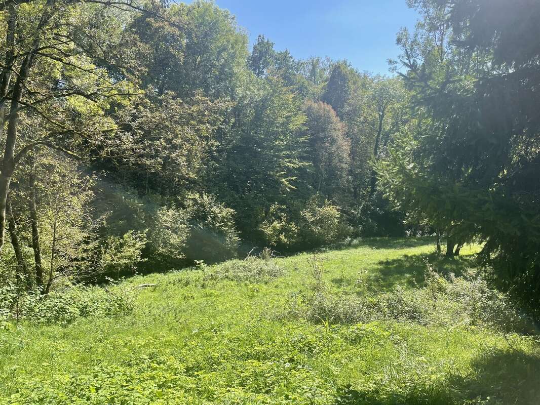 Maison à MENTHONNEX-SOUS-CLERMONT