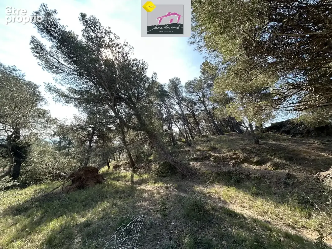 Terrain à batir secteur Pinede - photo 2