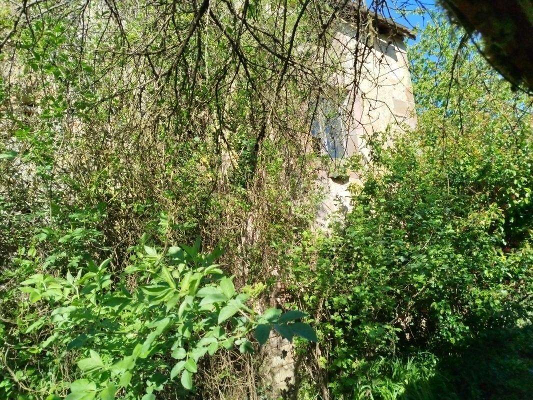 Maison avec dépendances et terrain - photo 16