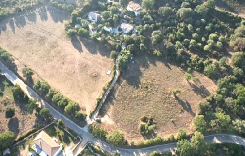 Terrain à CALENZANA