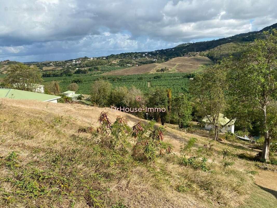 Terrain à LE FRANCOIS