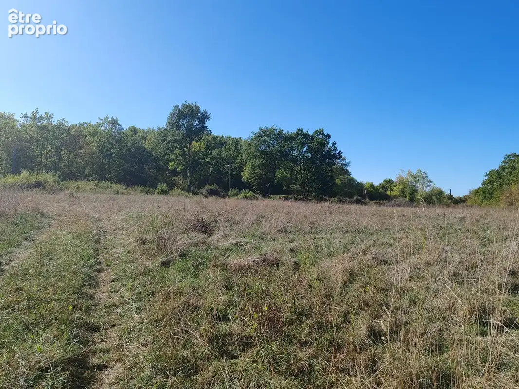 Terrain de loisirs - photo 6