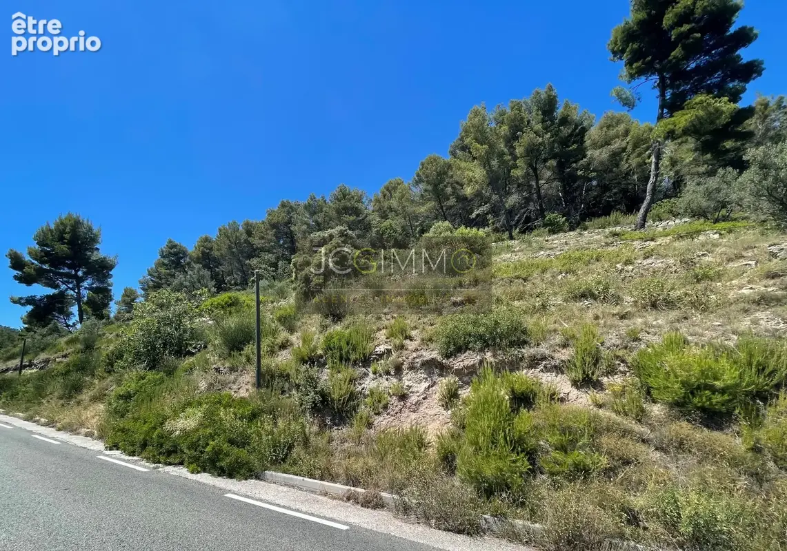 Terrain de 7358m2 non constructible - photo 2
